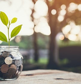 Plant growing out of a jar of money
